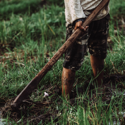 cropped image of a farmer working on a padi field